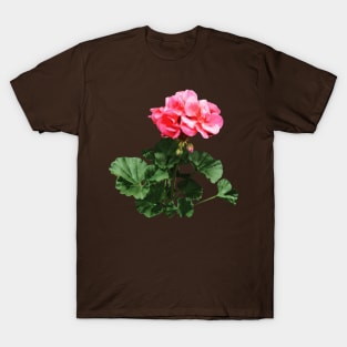 Geraniums Standing Tall T-Shirt